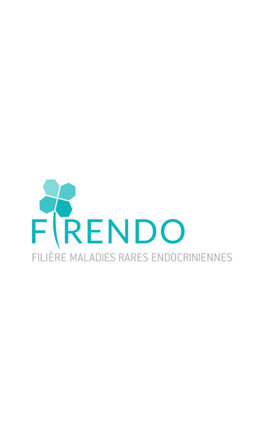 logo-filiere-firendo