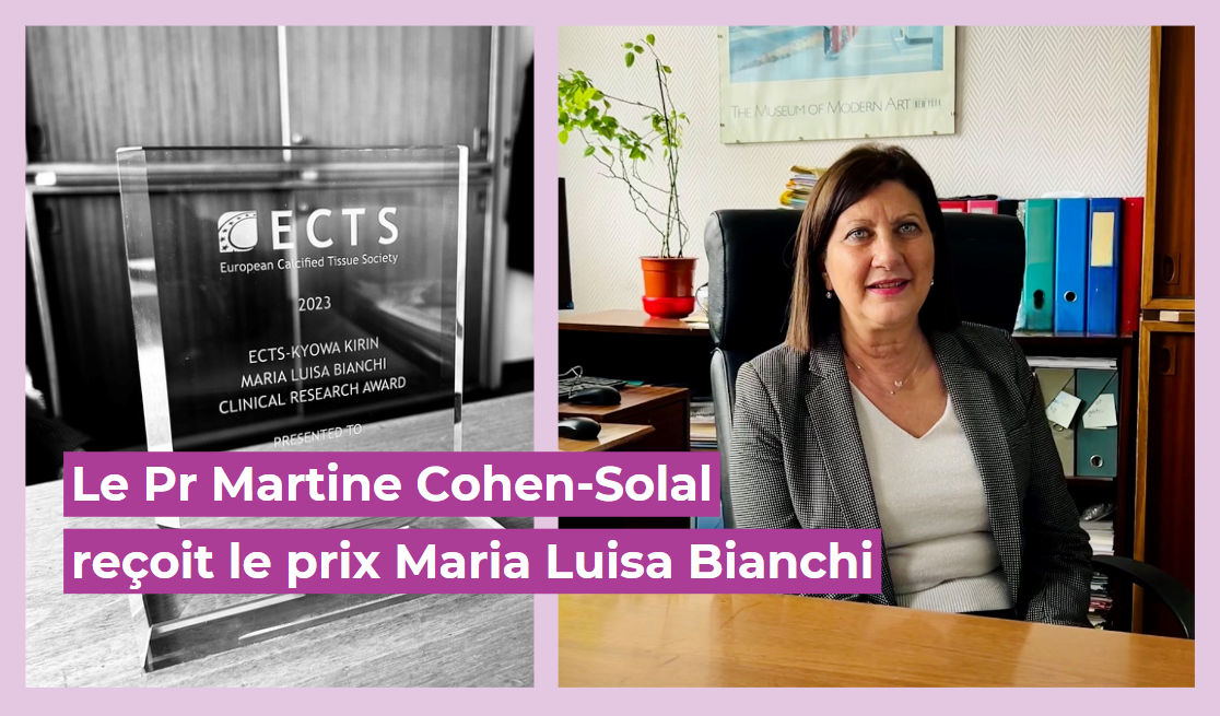 prix cohen solal